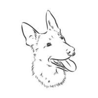 dog vector sketch