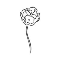 flower vector sketch