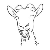 goat vector sketch