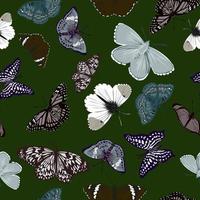 bosquejo del vector de las mariposas