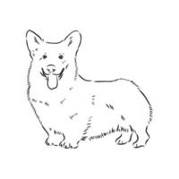 dog vector sketch