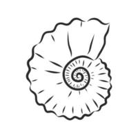 seashell vector sketch
