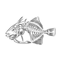 fish skeleton vector sketch