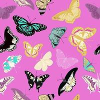 butterflies vector sketch