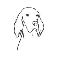 dog vector sketch