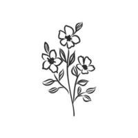 flower vector sketch