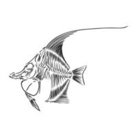 dibujo vectorial de esqueleto de pescado vector