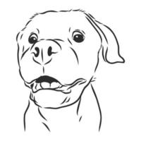 dog vector sketch