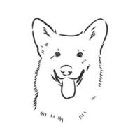 dog vector sketch