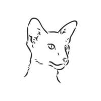 cat vector sketch