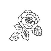 flower vector sketch