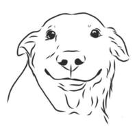 dog vector sketch