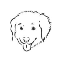 dog vector sketch