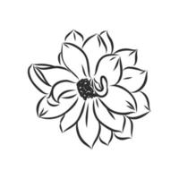 bosquejo del vector de la flor