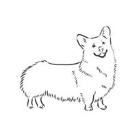 dog vector sketch