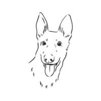 dog vector sketch