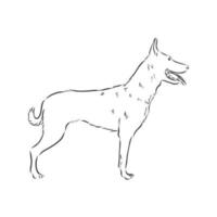 dog vector sketch