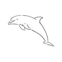 dolphin vector sketch