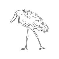 bosquejo del vector del pájaro shoebill