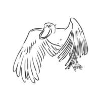 shoebill bird vector sketch