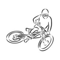 cyclist vector sketch