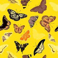 bosquejo del vector de las mariposas