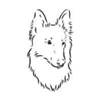 dog vector sketch