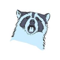 raccoon vector sketch