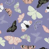 butterflies vector sketch