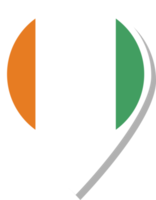 icône d'enregistrement du drapeau de la cote d'ivoire. png