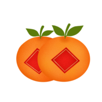 Chinesische Mandarinen png