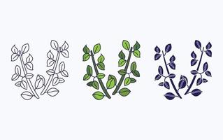 Thyme vector icon