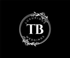 TB Initials letter Wedding monogram logos template, hand drawn modern minimalistic and floral templates for Invitation cards, Save the Date, elegant identity. vector