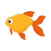 goldfish icon isolated vector