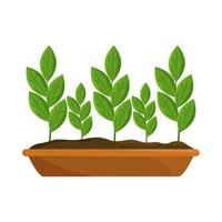 plantas de brotes de jardinería vector