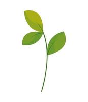 leaves foliage icon vector