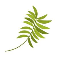 leaves branch icon vector
