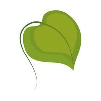 greenery leaf icon vector