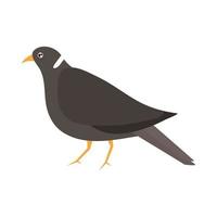 pigeon bird animal vector