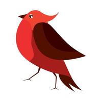 bird cardinal red vector