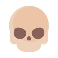 skull flat icon vector