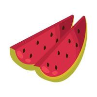 watermelon fruit food vector