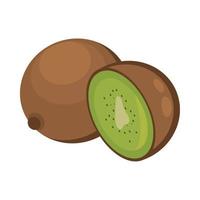 kiwi fruit food vector