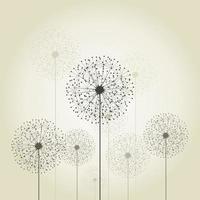 Flower a dandelion in the flora nature vector