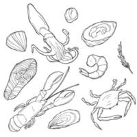 Set of doodles, hand drawn rough simple seafood theme sketches. Vector set isolated on white background.