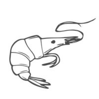 icono de garabato de contorno dibujado a mano de camarones. ilustración de boceto vectorial de mariscos saludables - camarones o gambas para impresión, web, móvil e infografía aislado sobre fondo blanco. vector