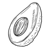 icono de vector de medio aguacate. boceto dibujado a mano de frutas tropicales de verano. rebanada de aguacate con una semilla redonda. comida fresca y saludable, esquema de vegetales exóticos. ilustración botánica aislado en blanco