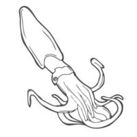 icono de garabato de contorno dibujado a mano de calamar. ilustración de boceto vectorial de mariscos saludables: calamar crudo o sepia para impresión, web, móvil e infografía aislado en fondo blanco. vector