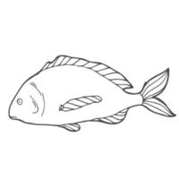 Hand drawn sketch seafood vector black and white vintage illustration of salmon fish. Isolated object on white background. Menu design