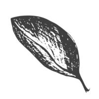 Realistic vector leaf. Vector ink element isolated on white background.